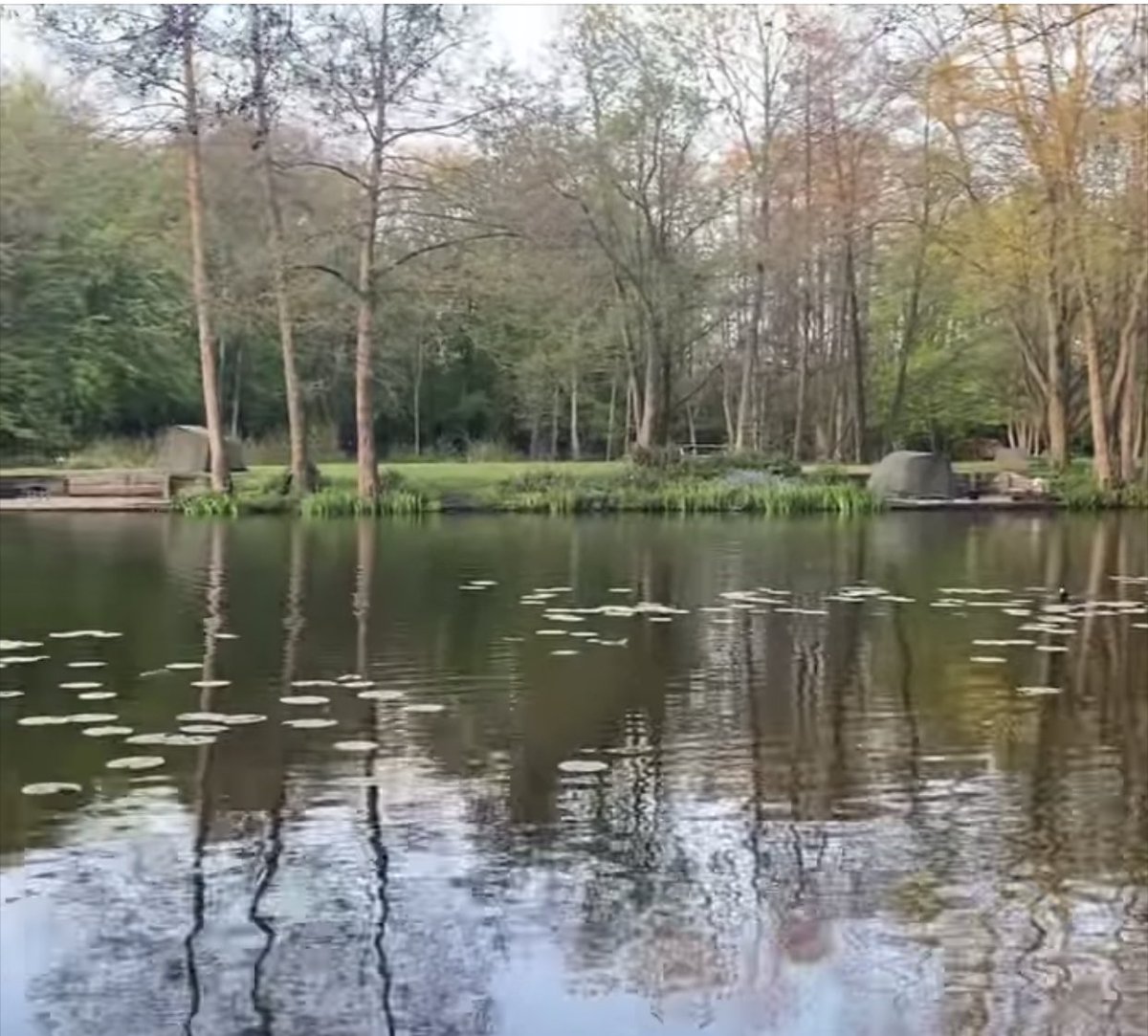 Paul Wood tweet media