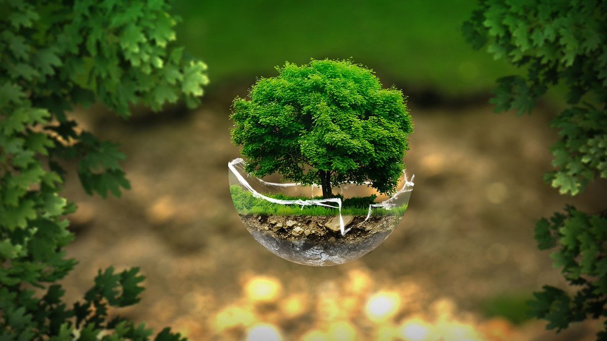 VaticanIHD's tweet photo. 🌻 #LaudatoSiWeek
📌Today is the Global Action Day for Our #CommonHouse. 📢 A call to care for the #Create. Sustainability initiatives, educational events, prayer meetings on https://t.co/hErzLzs1MB
@CathClimateMvmt
#LaudatoSi
#LaudatoSi6 https://t.co/PBzc6QdtBa