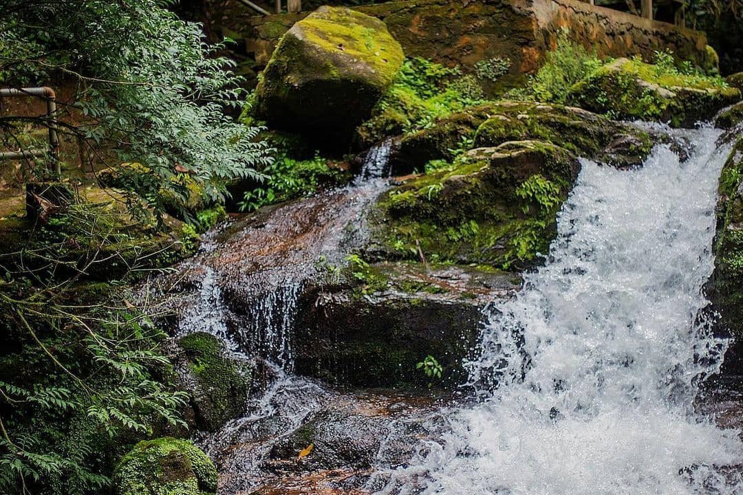 vacationeerHQ's tweet photo. OBUDU is that destination you seek that offers everything and more
.
.
.
Photo credit 📸 by @iniiobongkriistopher

#vacationeerhq
#visitnigeria #obudutour #nigerianwildlife #love #picoftheday
#nigeria #thingstodoincrossriver
#naija #exploreobudu #beautifuldestinations https://t.co/R5mY0lbonU