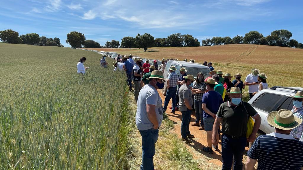 AgrisatSl's tweet photo. Fabuloso día de campo en la finca El Encinar, referente en la práctica de #AgriculturaDeConservación mediante #siembradirecta y #agriculturadeprecisión aplicando los inputs en #dosisvariable. Gracias a la organización de Comercial SánchezTebar
#appAgriSat #fertimaps #Irrimaps https://t.co/gMMWXskgLC