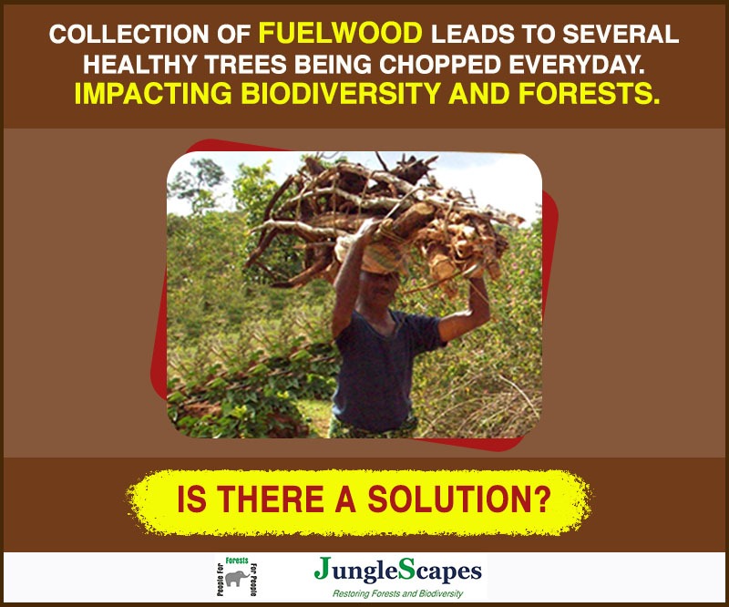 Junglescapes's tweet photo. Watch this space for an event that discusses this pan-India challenge https://t.co/S8fczg1wMi