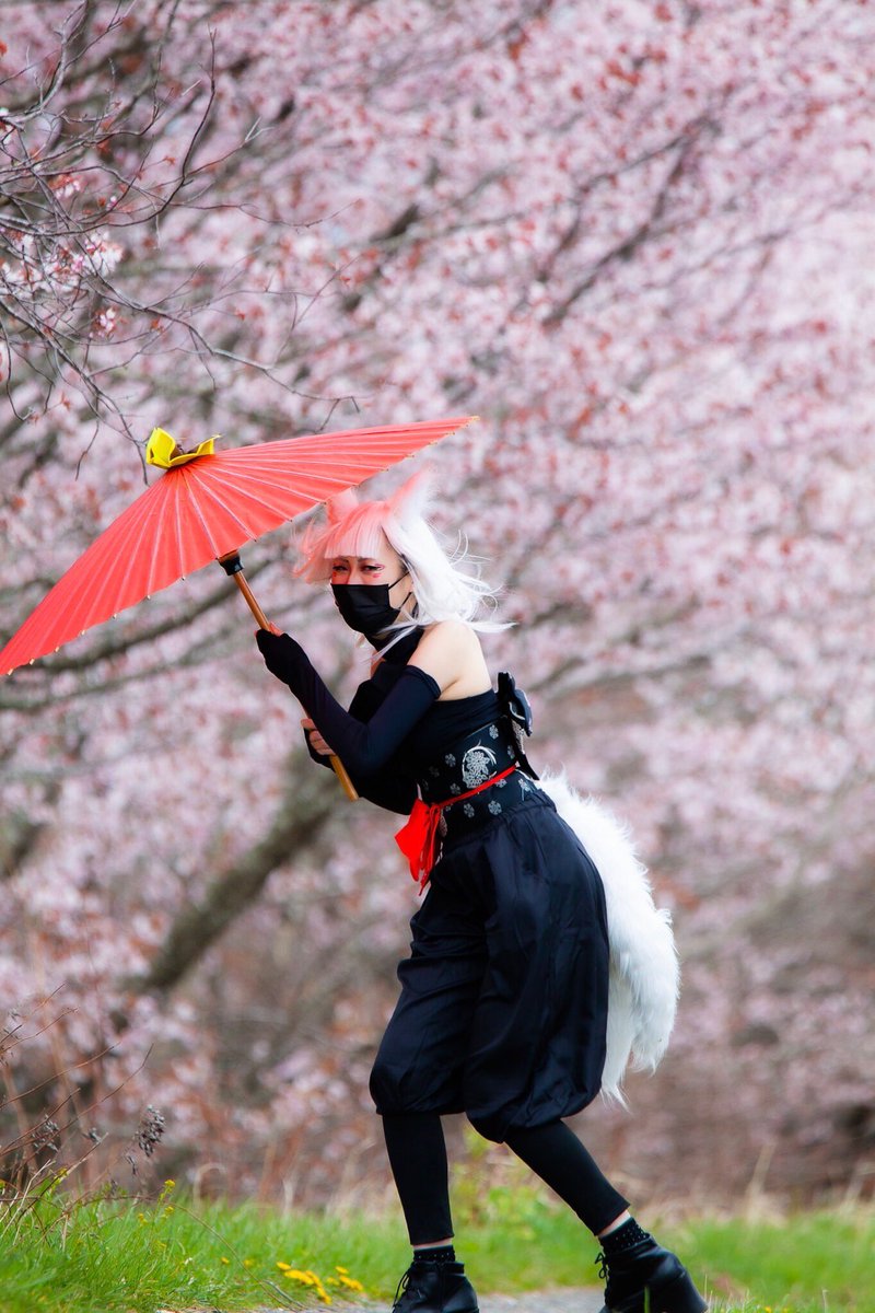 Twoucan 忍者 の注目ツイート コスプレ