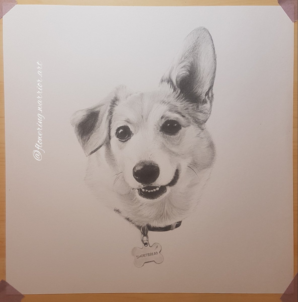 FlowerinWarrior's tweet photo. Might be done but I'll decide in the morning 😴

#pencildrawing #dogsoftwitter https://t.co/YDInuB0wJW