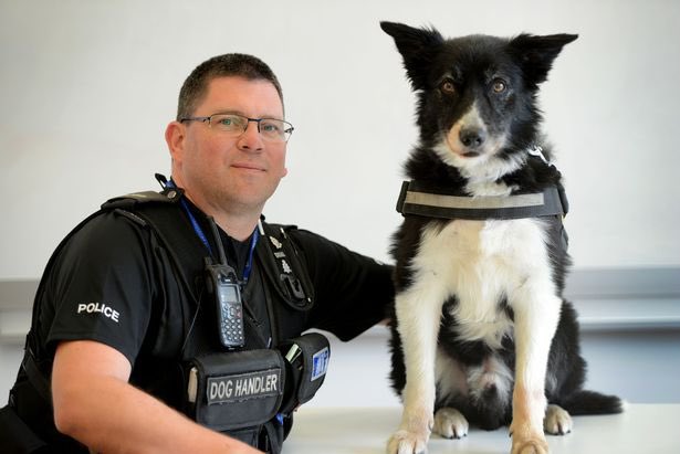 British Transport Police tweet media