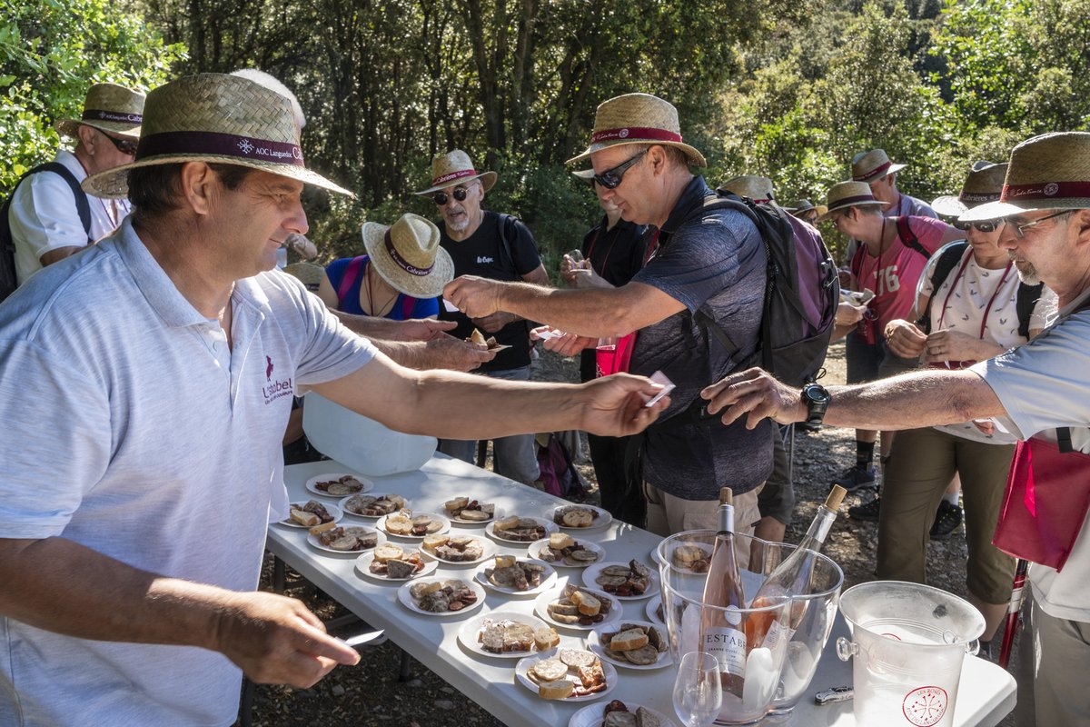 L__Estabel's tweet photo. VINS, VIGNES ET TERROIRS A CABRIERES LE 06 JUIN 🤩
#Balade Gourmande #Vigneronne à travers le #vignoble de #Cabrières.
Faîtes-vous de moments de partages.
Plus de renseignements : https://t.co/95zKEFAaal
#vinsvignesetterroirs #AOC #vins #schistes #randonnées https://t.co/i2OvE9S33E