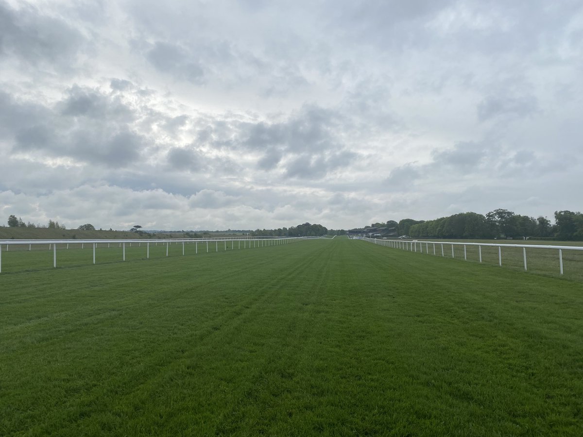 Armandoduarte14's tweet photo. Beautiful ground @NewmarketRace #julycourse👏👏 https://t.co/Irw8zfZhaE