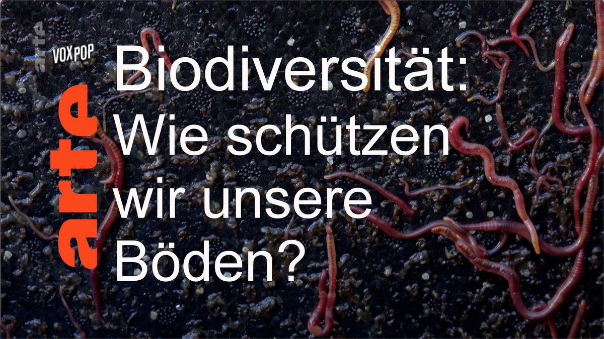 Abholzung, intensive Landwirtschaft und ungebremste Bautätigkeit: 81% der natürlichen Lebensräume in #Europa sind in einem schlechten Zustand.
🍃bit.ly/Prolog_Biodive…🌿
#Biodiversität #Artenvielfalt