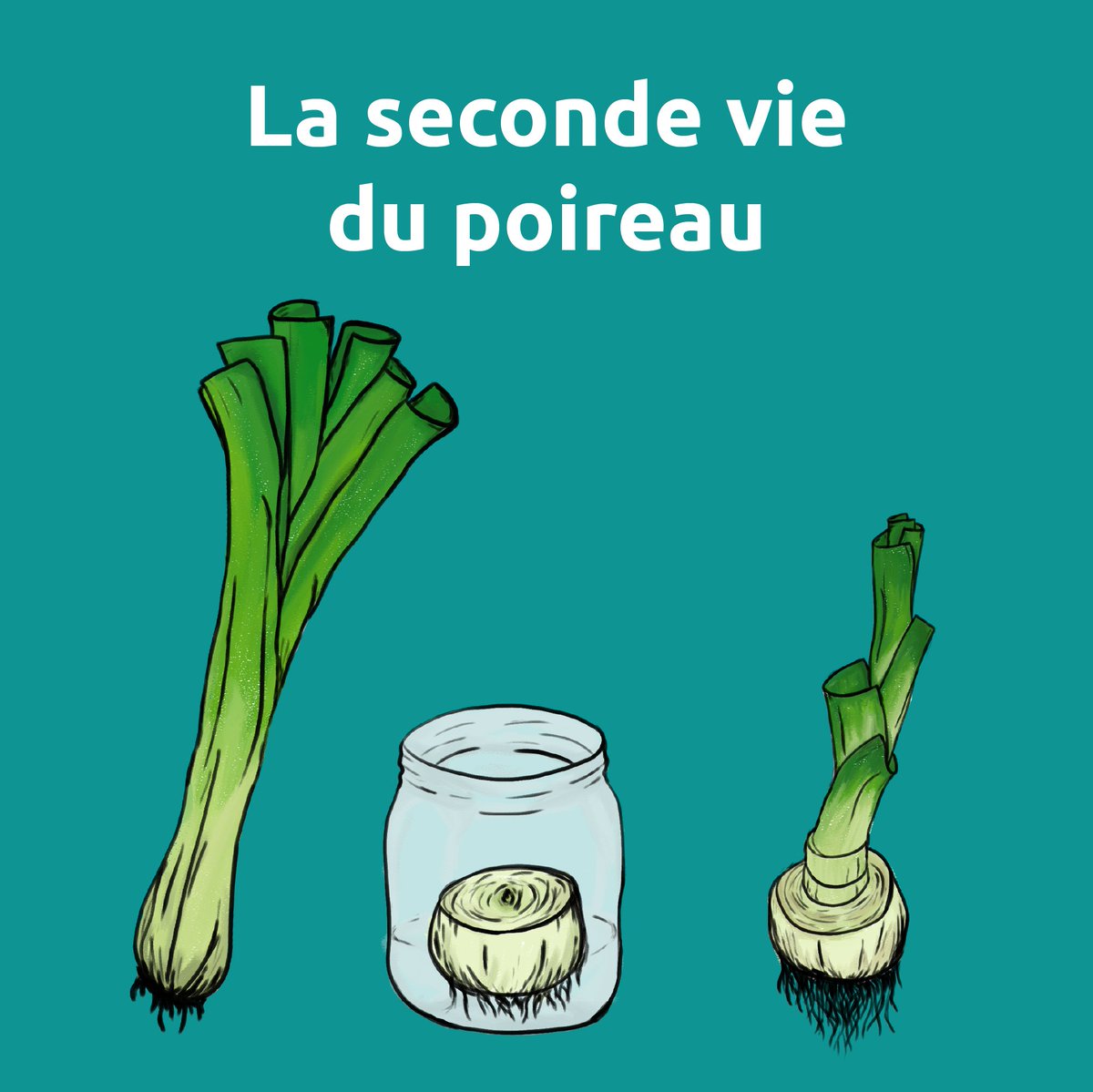 _DSLT_'s tweet photo. En 2021, on se met au vert! Notre créa Katia a toujours plein d'idées pour conceptualiser et réaliser de chouettes illustrations pour nos clients. Ici, quelques conseils pour redonner une seconde vie à vos fruits et légumes! 😉👨🏻‍🌾 #faitmaison https://t.co/HgbADPtZjc