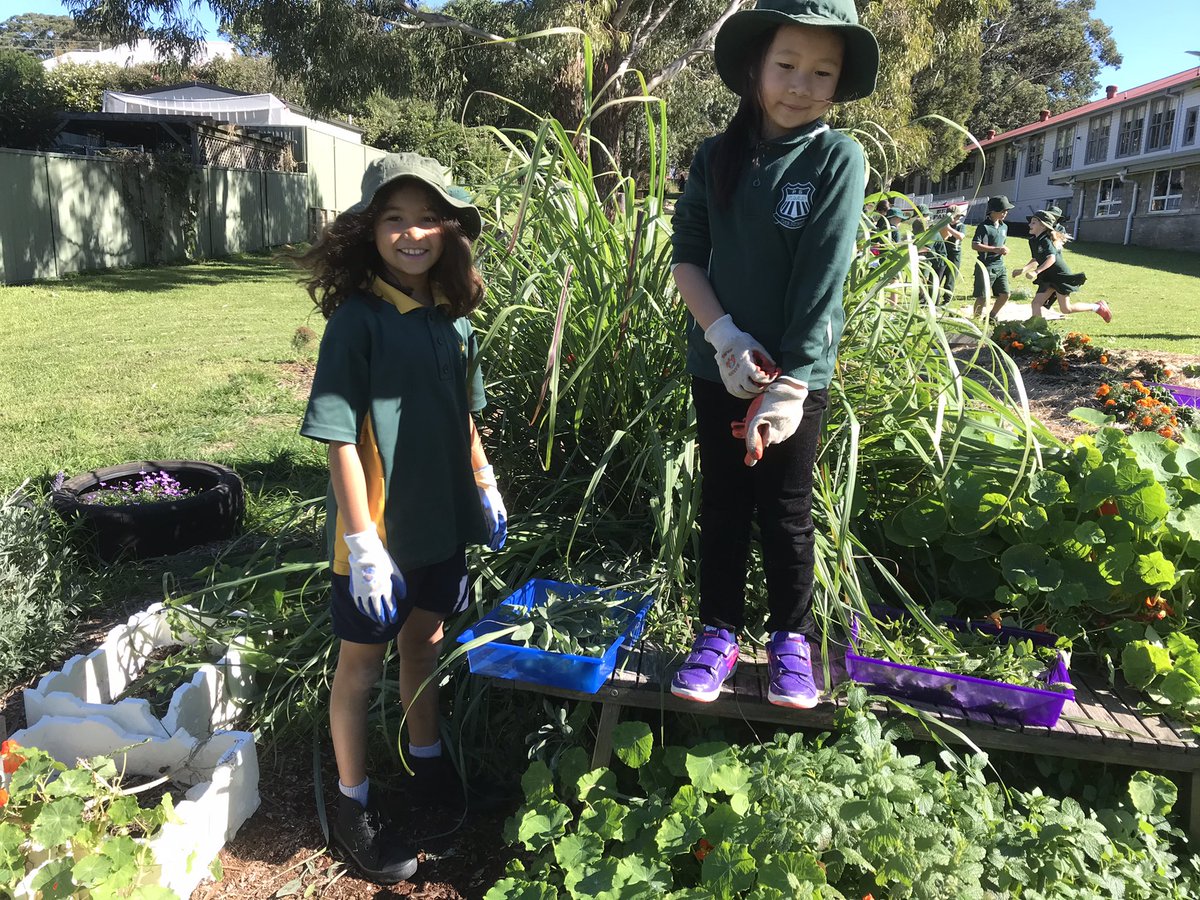 2/3 Connect tweet media