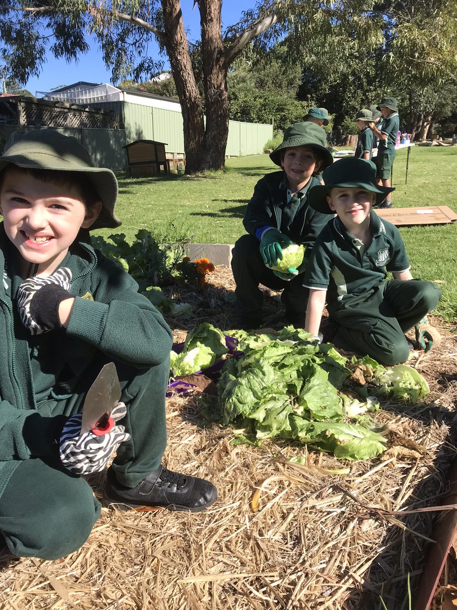 2/3 Connect tweet media