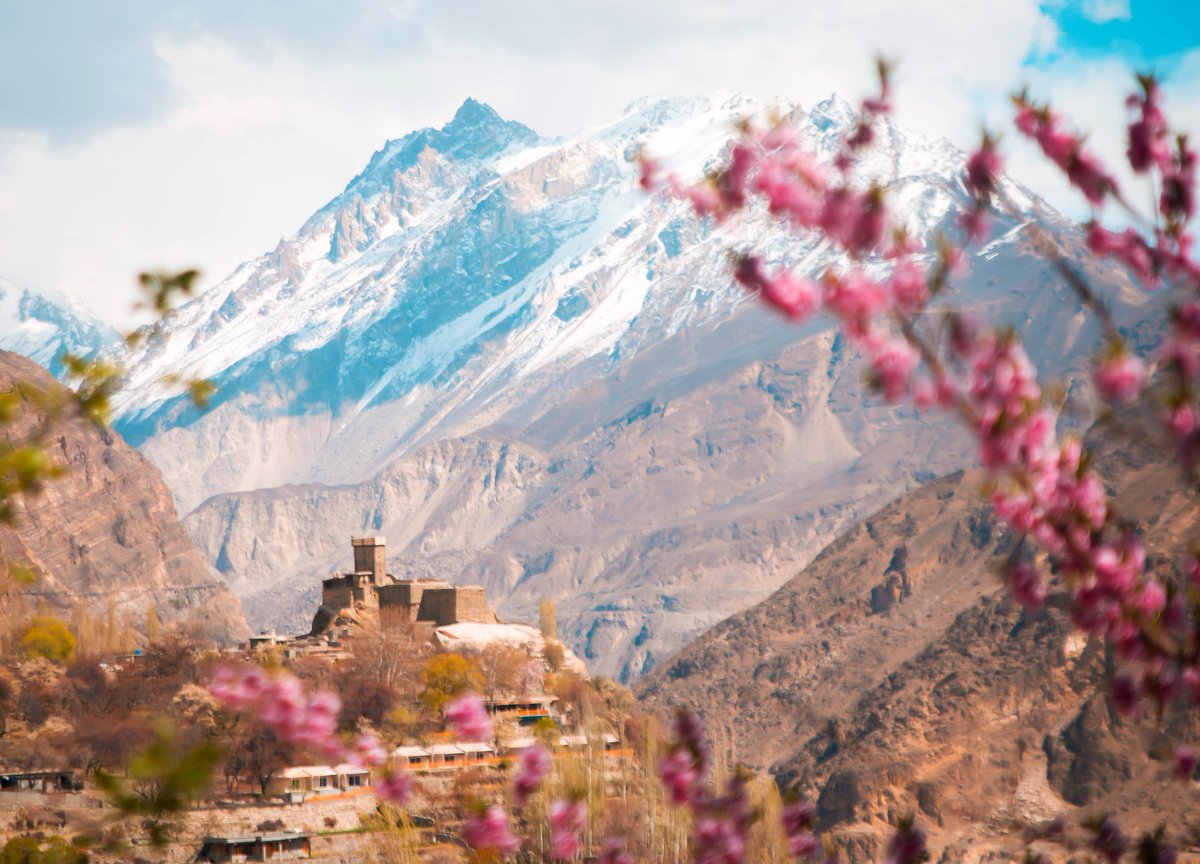 FayazHusayn's tweet photo. Altit fort & cherry blossoms 🌸 Hunza, Gilgit Baltistan 🇵🇰 Photo by Scheherzadeh
#Pakistan #WeLovePakistan #Pakistancer #proudPakistani #BeautifulPakistan #tourism #mountains #beauty
#asian #world #trending #awesome
#DiscoverPakistan #BeautifulPakistan https://t.co/9jyl7cID3Z
