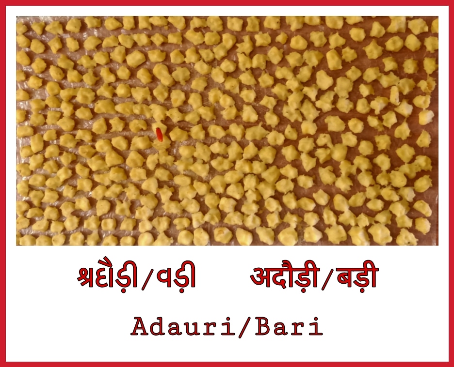 ApanBhojpuri1's tweet photo. घरे एह बेर अलूई के अदौड़ी पड़ाईल ह।
#adauri #bhojpuricuisine #bhojpuri #kaithiscript #bhojpuriculture https://t.co/qhvdd47TYv