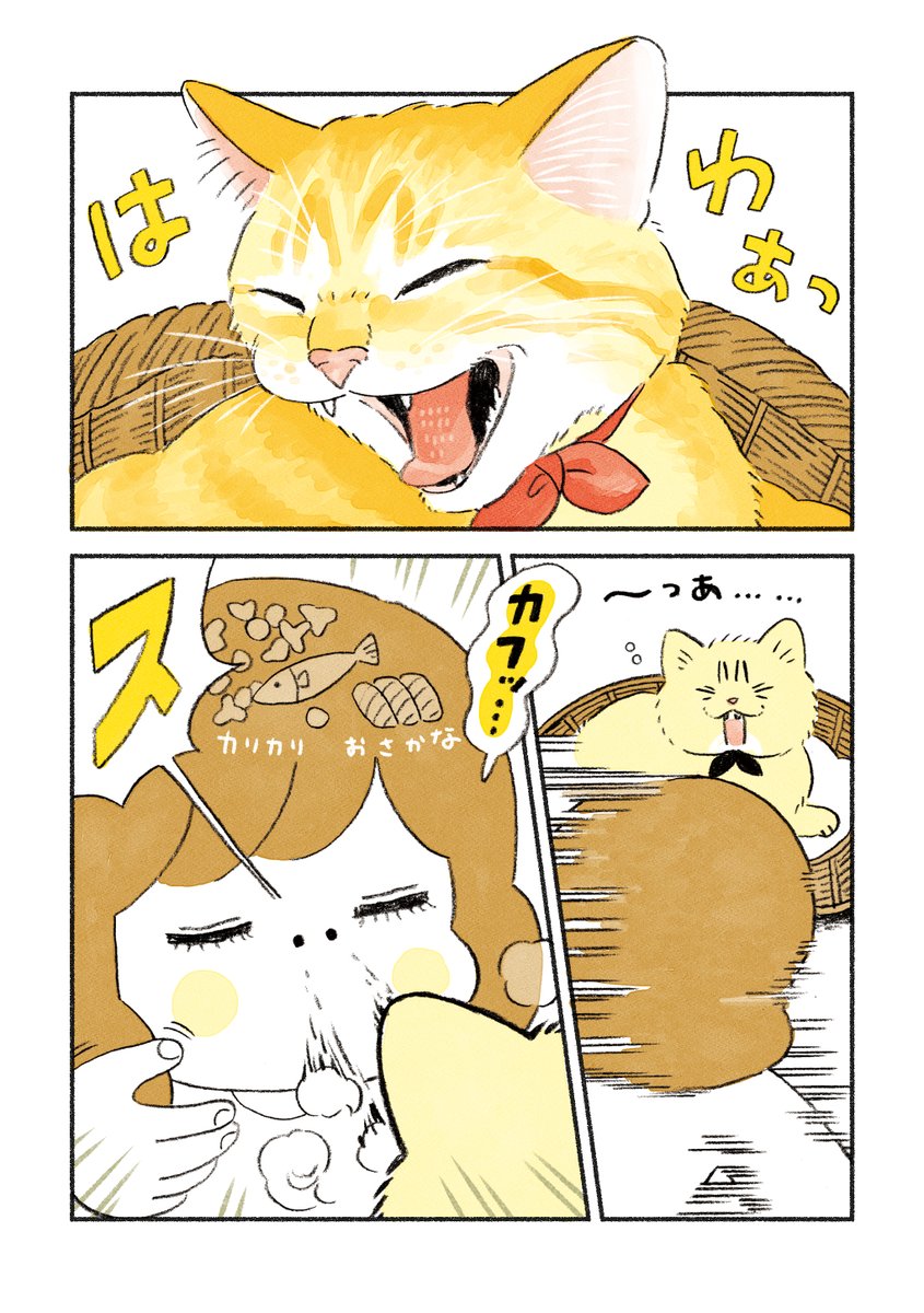 ねこは吸うもの 