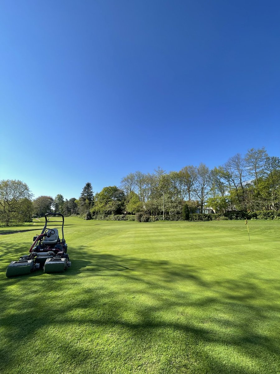 Woolleyparkgolf's tweet photo. Blue skies and 65s anyone #competitionprep #competitionready #greenkeeper #greenkeeping #greenkeepers #greenkeeperlife #turf #turftools #turfgrass #turfmanager #golfcourse #golfcoursephotography #golfcourses #golfcoursephotos #golfcoursemaintenance #golfcourselife #golf #golfer https://t.co/4JqU3MpkEp