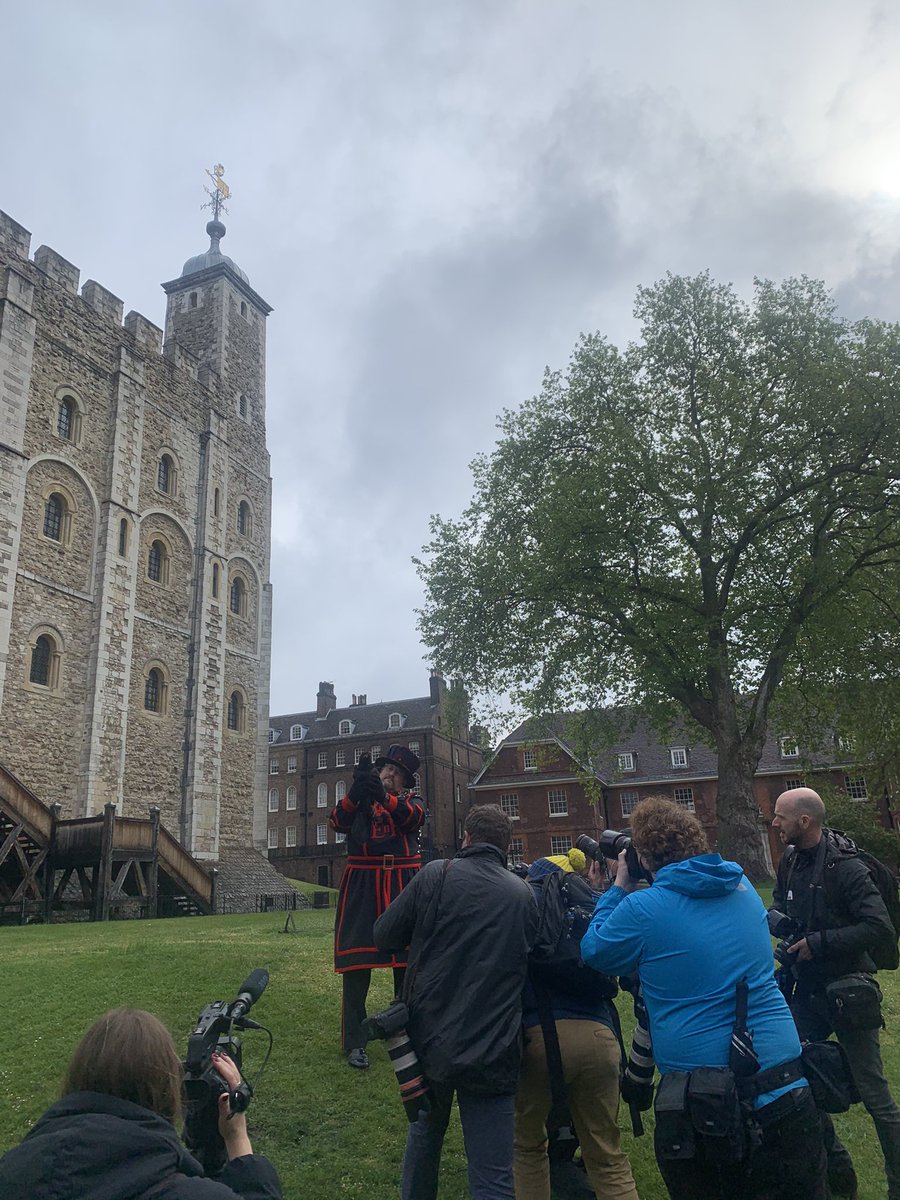 Branwen is ready for her close up! 📷 <a href="/TowerOfLondon/">The Tower of London</a> <a href="/ravenmaster1/">Ravenmaster</a> #NameOurRaven