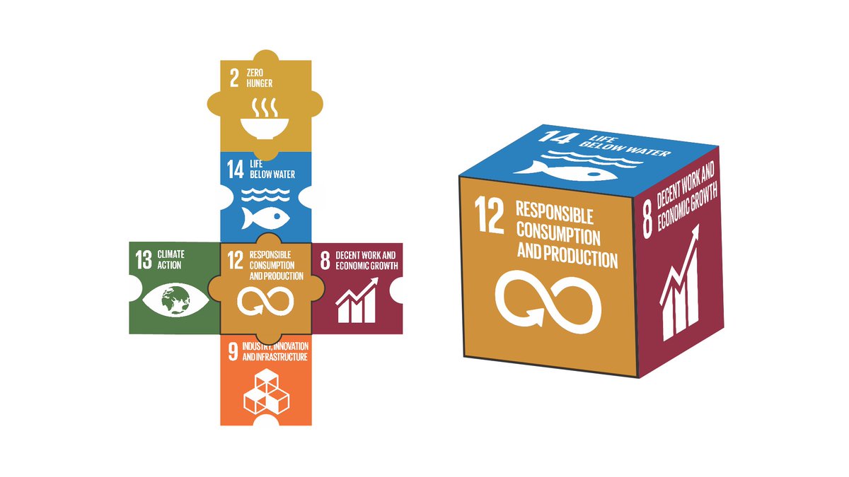 DrJessBolin's tweet photo. New #OpenAccess paper in Fish and Fisheries: 'Achieving sustainable and climate-resilient fisheries requires marine ecosystem forecasts to include fish condition'. https://t.co/0HAYtGddhw…

#DynamicOceanManagement #Forecasting #SDGs #ClimateAdaptation https://t.co/eGY7vZ9YfZ