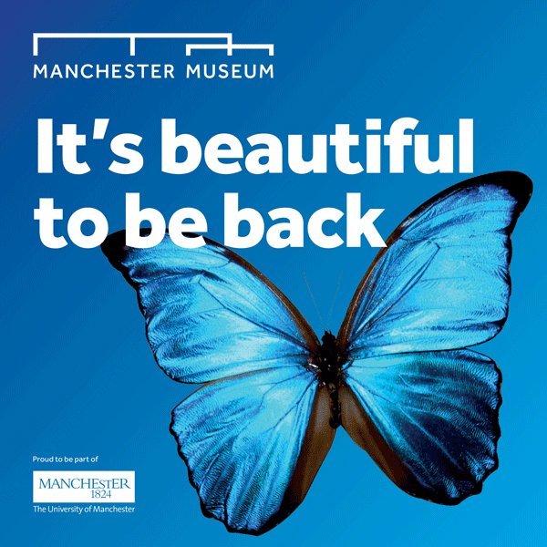 Today’s the day! 🌟🎉
We are open from 11am today. It’s beautiful to be back and we can’t wait to see you 🦋
Plan your visit here: museum.manchester.ac.uk/visit/

#BackToMuseums #HereForCultureMCR