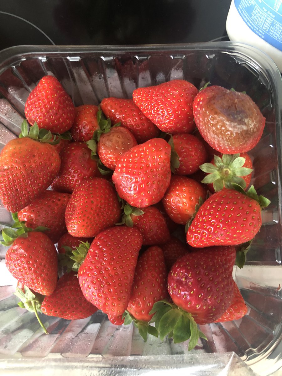 Amy_Pez's tweet photo. @LidlGB Hi Lidl! I bought these strawberries from your Ystrad Mynach store yesterday and just opened them to find they’re mouldy - can you please help? I have a digital receipt with my Lidl Plus card if you need 😊 thanks! https://t.co/hj6qdTWnju