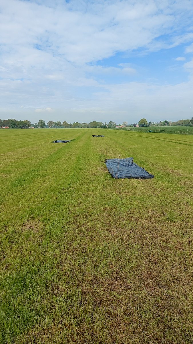 Proefvakken waar geen kunstmest mag komen om het effect van water toevoegen aan mest beter inzichtelijk te kunnen maken #eiwitvantwentsland @LouisBolk <a href="/ProvOverijssel/">Provincie Overijssel</a> <a href="/ElsUijterlindeM/">Els Uijterlinde</a> #alleensamen