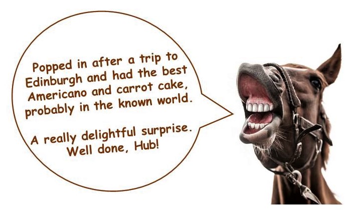 A nice review came in this week....straight from the horse's mouth....
