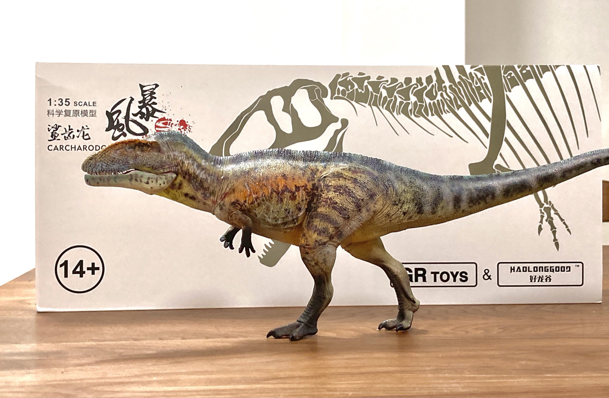 GRTOYS&haolonggood カルカロドントサウルス 恐竜 スタチュー Amazon.co.jp: GR TOYS × HAOLONGGOOD 135 サイズ カルカロ