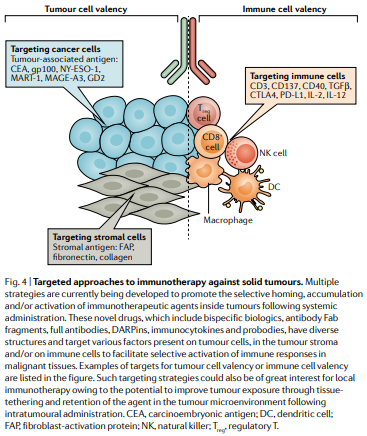 NatRevClinOncol's tweet photo. In a new Review now live online, Ignacio Melero, Aurelien Marabelle @champiatMD and colleagues discuss 'Intratumoural administration and tumour tissue targeting of cancer immunotherapies': https://t.co/kPFyoDBoAs
@GustaveRoussy @ClinicaNavarra @CIMA_unav @idisnanavarra @CIBERONC https://t.co/SfjdRXGigD