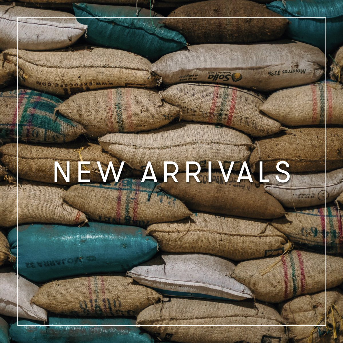 Roasters: the coming weeks and months are crunch time for new arrivals. Keep your eyes open 👀, make sure you’re subscribed to our mailing list, and get in touch to order samples and secure your favourite lots before they get snapped up.