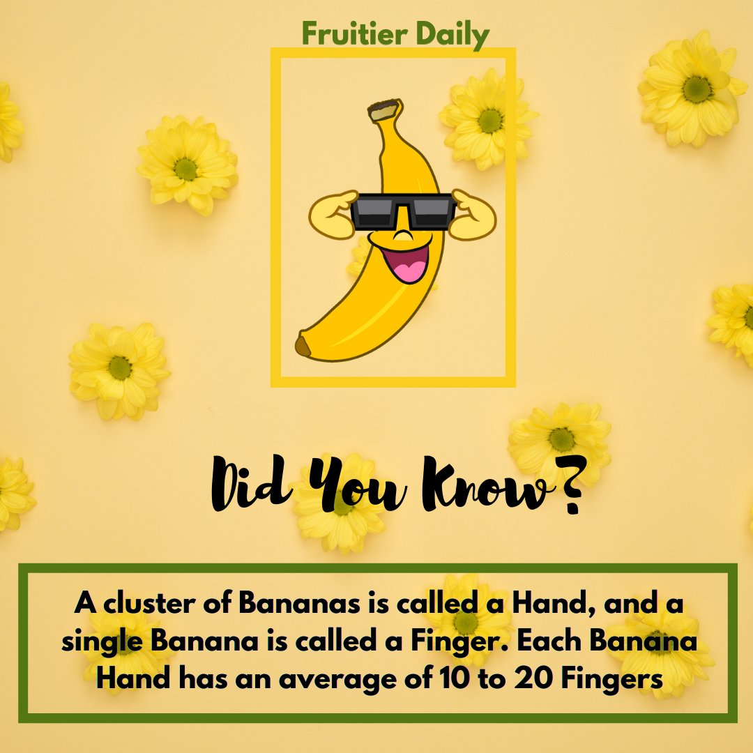 FruitierD's tweet photo. Now you know 🍌🍌🍌😀😀
What else do you know about Bananas?
.
Banana is still our fruit of the Month
. 
Get some our Banana flavoured Smoothie and Fruit Salads 
.
Tell us in the Comment section 👇😊

Kaduna IPOB Riri Boko Haram https://t.co/xB4vKqSw43