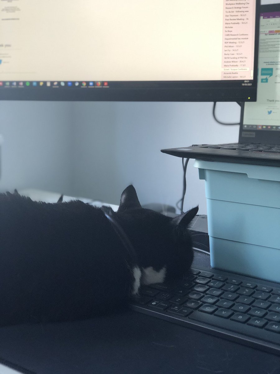 twowheelmusing's tweet image. Me and my furry friend learning about responsible use of metrics - I think I am enjoying the conference a little bit more #peuc2021 #scopus #scival #elsevier really enjoyed session by @AndrewPlume - excellent content, delivery and slides