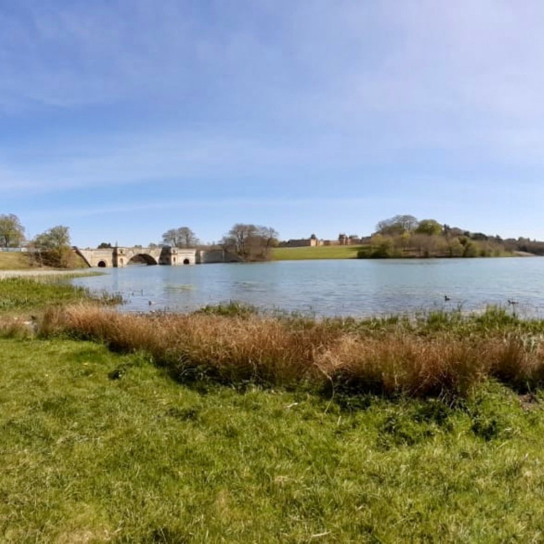 hub_challenge's tweet image. One of our volunteers hiked by @blenheimpalace and captured these wonderful photos!📸

Have you thought of taking on a challenge? It can be as big or as small to suit your lifestyle and needs. Take a look at our website to find out more, thechallengehub.org