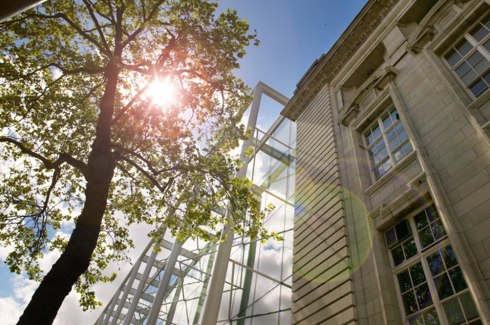 imperialcollege's tweet photo. Congratulations to our @ImperialBiz, @Imperial_CLCC &amp; @Imperial_CHERS graduates celebrating today! #OurImperial 🎉 https://t.co/WWjI70S094