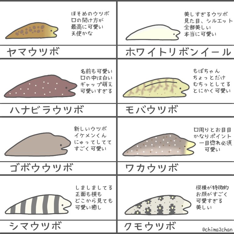 これを見たら好きになるかも ウツボ一覧表完全版 話題の画像プラス