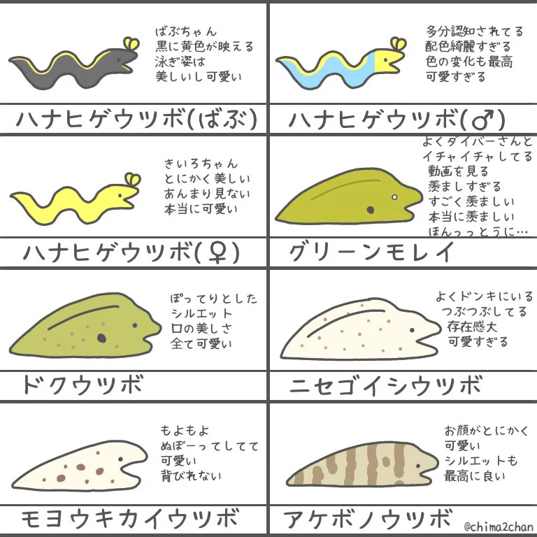 これを見たら好きになるかも？ウツボ一覧表完全版！