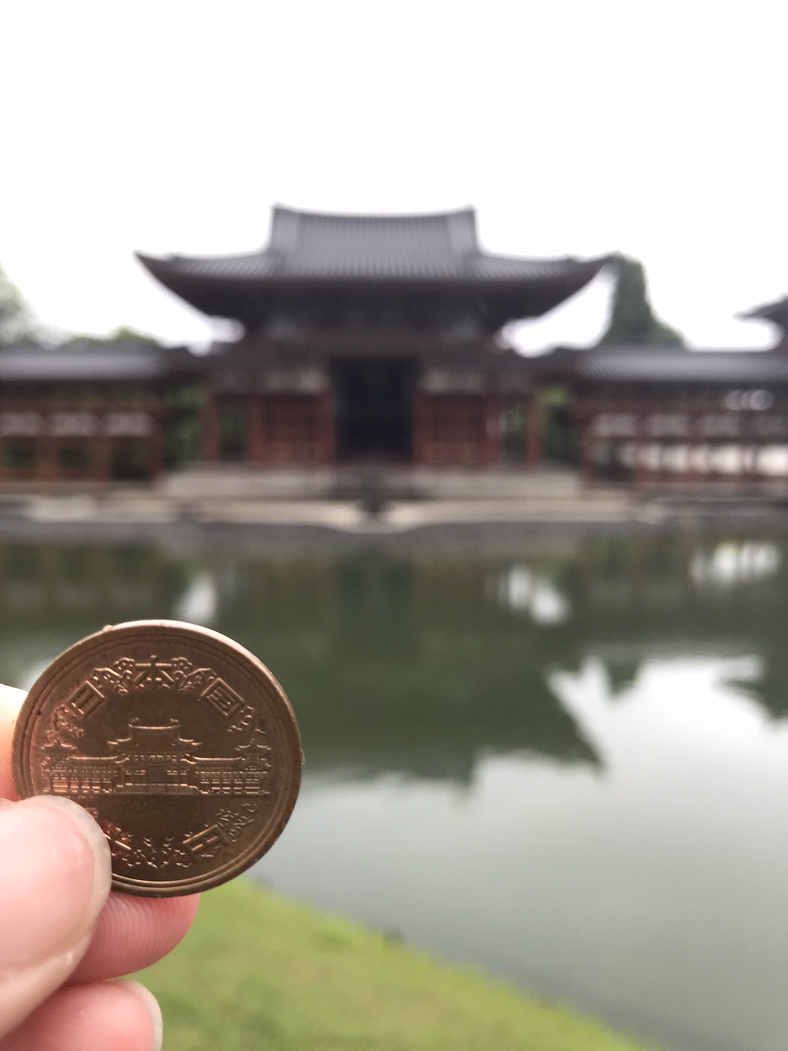 京の宿 綿善旅館 公式 On Twitter 京都 宇治と言えばこちら 阿弥陀如来様を正面から撮影してしまい反省 実は中にも入れるんです もちろん 撮影禁止 10円の定番このショット 何回も来ていたけど 初めて撮りました 平等院鳳凰堂 Https T Co Bwqopbcwhd