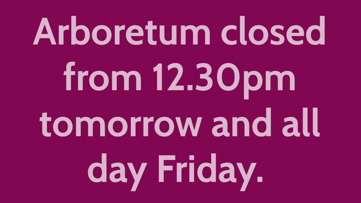 Due to the high winds forecast from tomorrow afternoon, last entry into the arboretum will be 12.30pm on Thursday 20th and the arboretum will be closed all day on Friday 21st. The garden centre and cafe will remain open as normal.