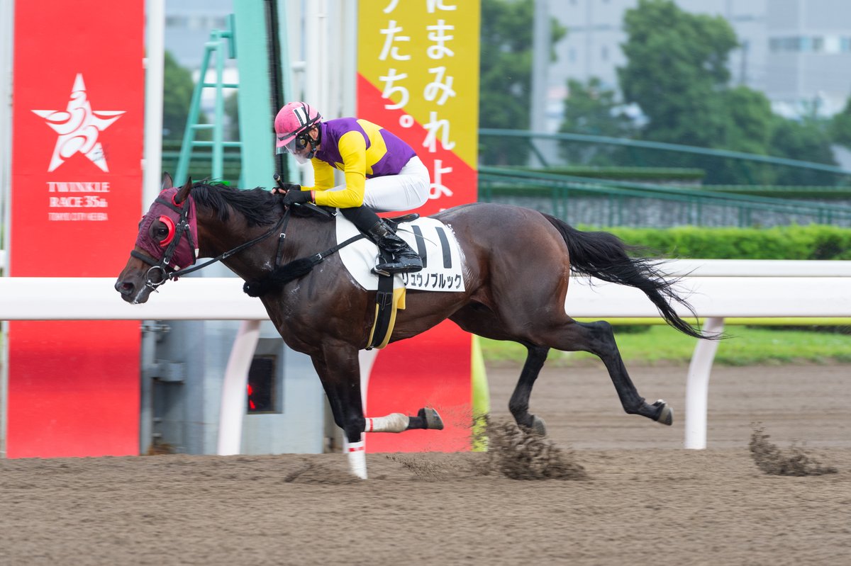 鷹見浩 調教師400勝達成！】 本日の大井第5Rでリュウノブルックが勝利