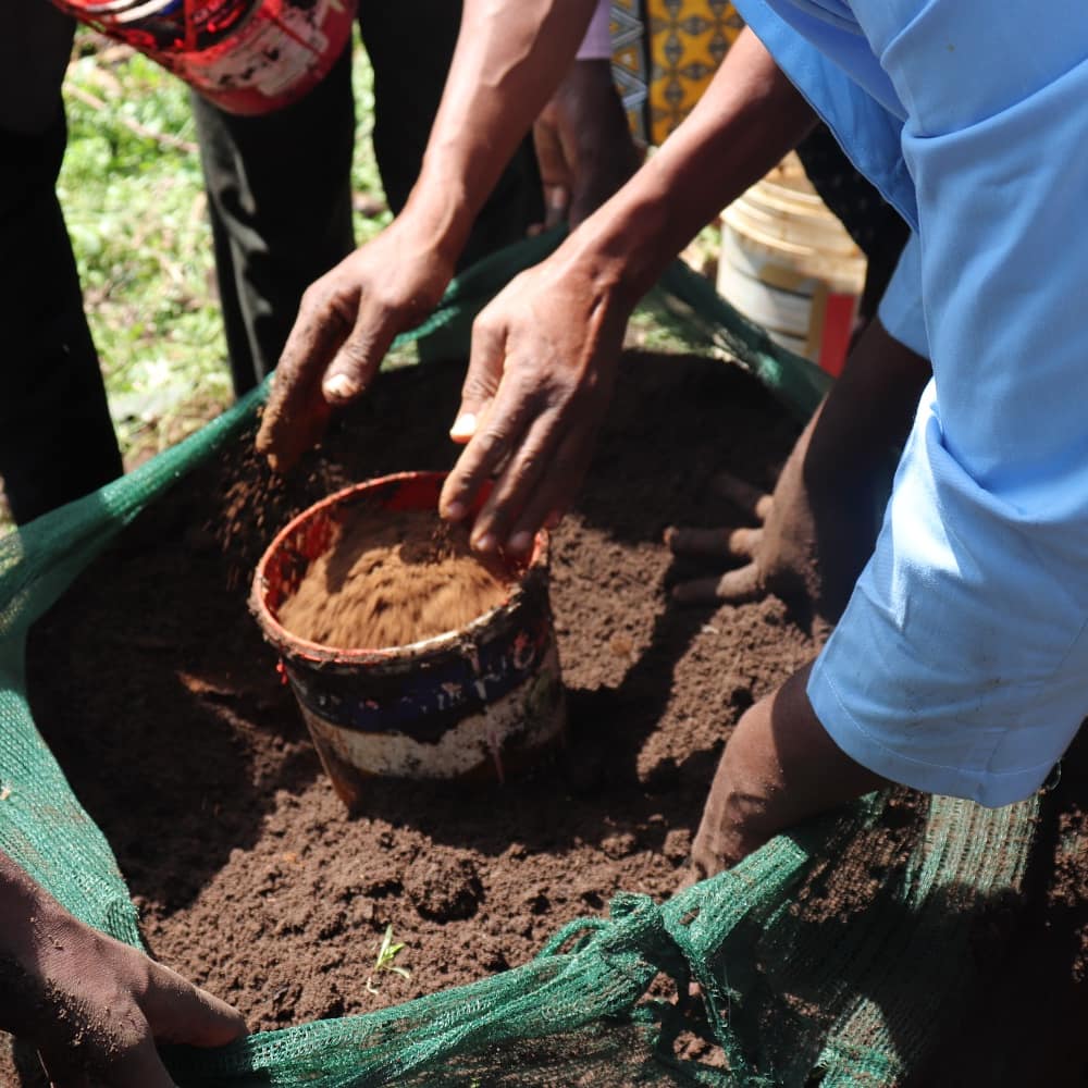 ADSWREGION's tweet photo. ADS-W team educating farmers on how to set up a vertical bag in Likuyani constituency, Kakamega County https://t.co/lCeKVrRZqK
