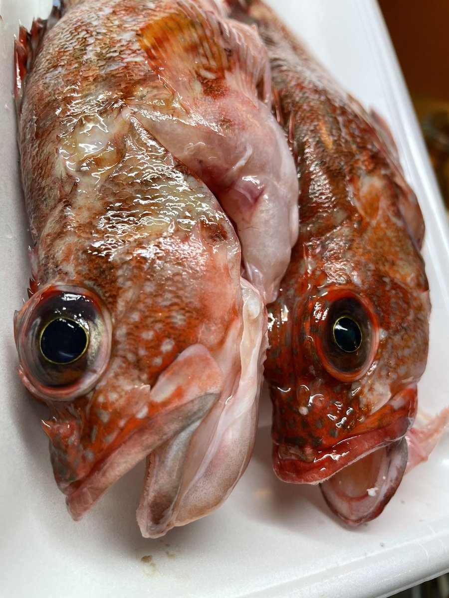 みんなの あらかぶ 口コミ 評判 2ページ目 食べたいランチ 夜ごはんがきっと見つかる ナウティスイーツ みんなの あらかぶ 口コミ 評判 2ページ目 食べたいランチ 夜ごはんがきっと見つかる ナウティスイーツ