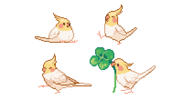 illufinch's tweet photo. lucky the cockatiel. commission #pixelart #ドット絵 https://t.co/lKDoRE8o0K