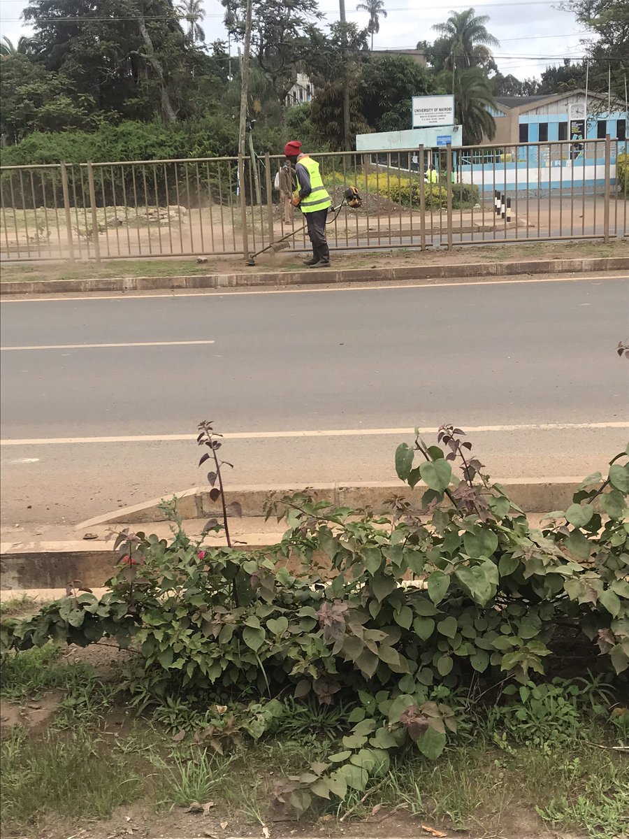 kenyanjurist's tweet photo. Is it the @NMS_Kenya rule that every blade of grass must be cut? #LettheGrassGrow https://t.co/iUK4o4DX1g