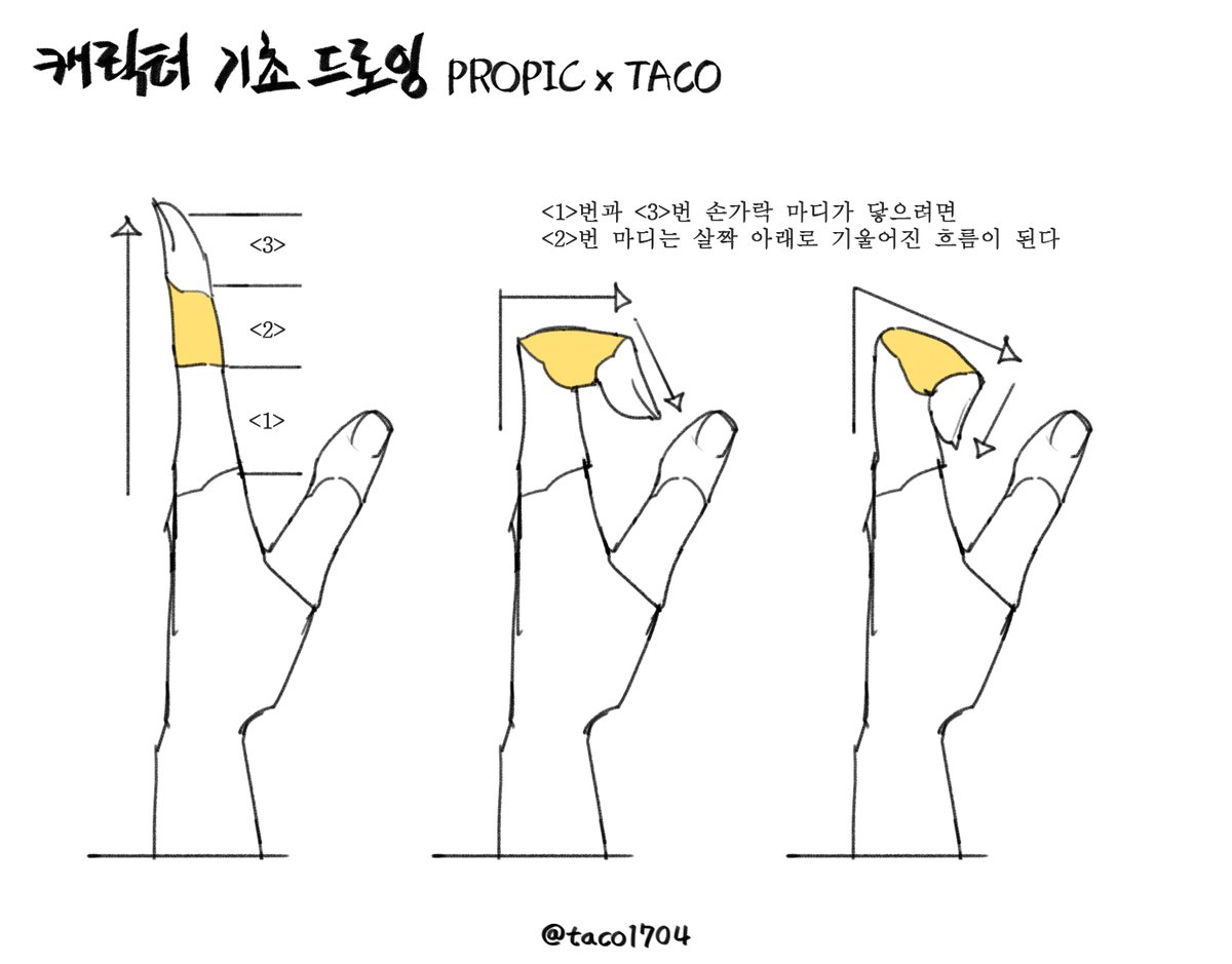 손가락 1번과 3번 마디가 닿으려면 2번 마디는 기울어진 흐름이 된다 