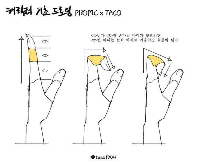 손가락 1번과 3번 마디가 닿으려면 2번 마디는 기울어진 흐름이 된다 