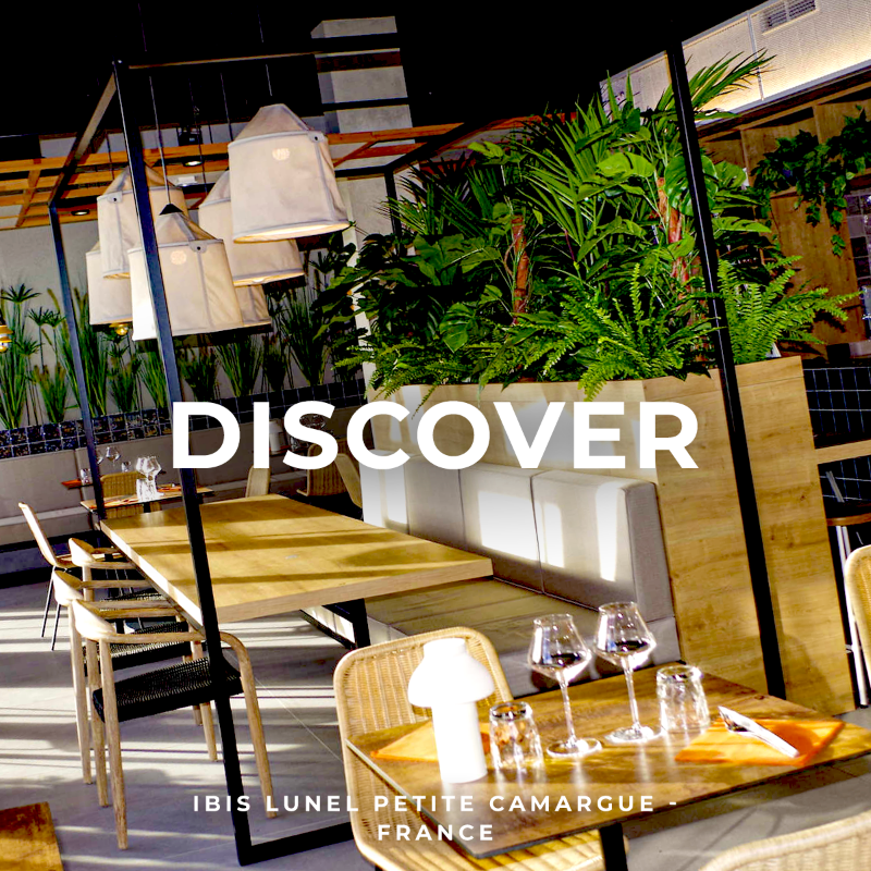 All's tweet photo. By the sea or in the heart of the city, experience spectacular moments wherever you are around the world with ALL! 🤩✨ Discover five of our newly reopened hotels and stay tuned for more! #ALLtogether #ALLtravel