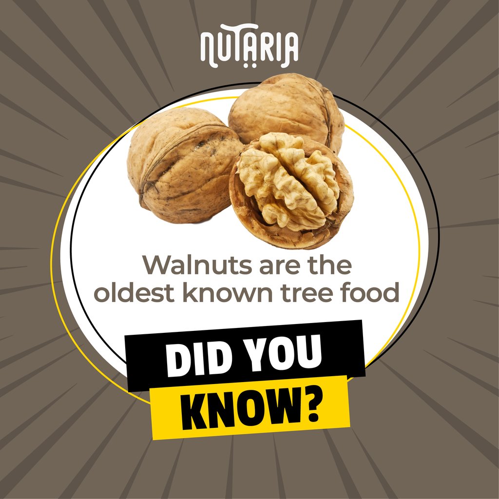 NutariaZA's tweet photo. Imagine being a favourite snack since all the way back in 1000 BC - the walnut must feel pretty chuffed! These little nuts look just like brains, which is funny, because eating them is very good for yours.
#Nuts #health #healthyeating #nuts4nuts #nutsaboutnuts #nutsandmore https://t.co/cFF9akbaxv