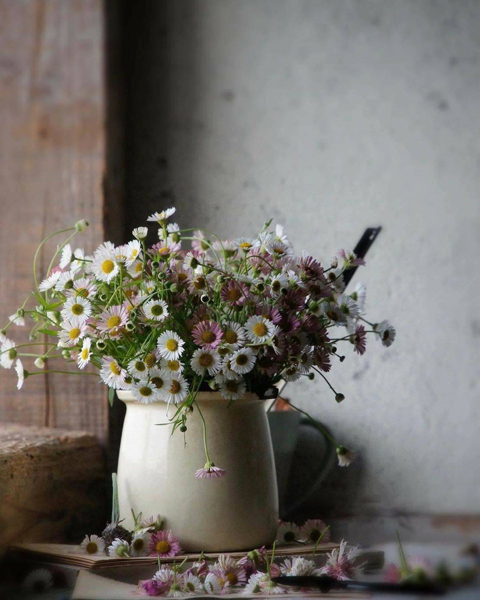 LdOptimistes's tweet photo. Bienvenue à notre #menuduchef 👨‍🍳
Un déjeuner aux senteurs du bonheur 😉,rempli de la gourmandise nécessaire à notre moral 😋😁et de d☀️uceurs pour notre ❤🌷🌿

Bon appétit à tous !🤗🍷
Douce après-midi 🙏💕
#ligue_des_optimistes https://t.co/QZGAwyzpBW