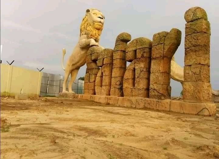 Doctorshivamji's tweet photo. Lion Safari Etawah https://t.co/1mrwSPCjep