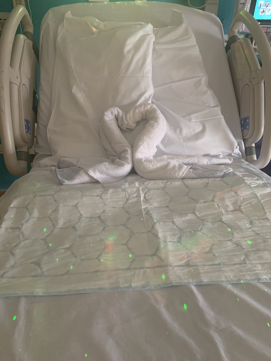 DebbyGould's tweet photo. Had to share the amazing caring midwives/support workers @WHHNHS look at how the team are making the rooms look welcoming on our birth suite for high risk women #smalltgingsmatter ❤️Outstanding 💕@kimwilcox47 @DCarter0808 @Kimberley_S_J @LisaRose2006 @AilsaGJ #uplifting 😀❤️ https://t.co/TZ3KuMvuSN