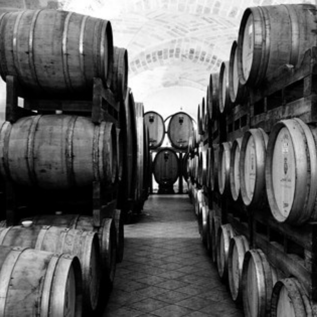 OperaWine tweet media