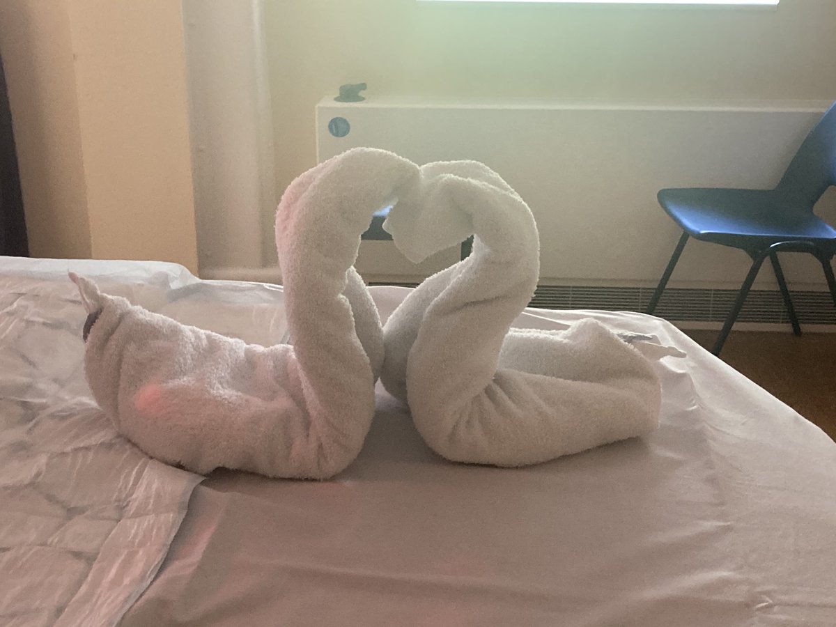 cloughmannhs's tweet photo. @WHHNHS Creating a beautiful environment for our Women on Birth Suite today!  @DCarter0808 @DebbyGould @LucyGartside2 @Kimberley_S_J https://t.co/LAGz9Ytfv3
