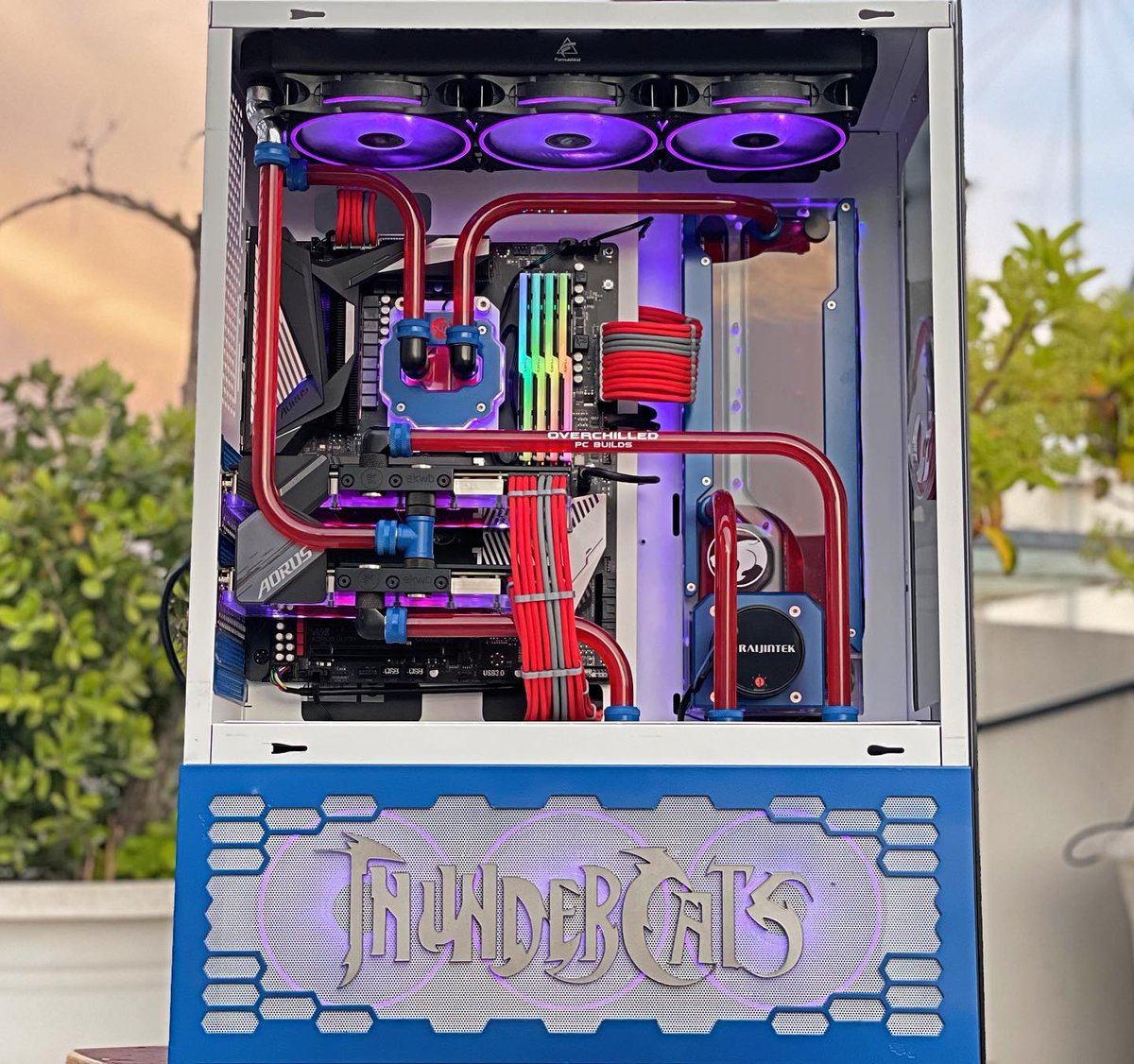 gskillgaming's tweet photo. Who is the fan of "Thundercats" here??? 😽😻
📷 #OverChilled | @AorusOfficial | @EKWaterBlocks | @RaijintekCoLtd
#gskill #tridentzneo #rgbpc #rgblights #setupgamer #pcgame #pcsetup #pcgaming #pc #ddr4 #rgbmemory https://t.co/db4cvacp2p